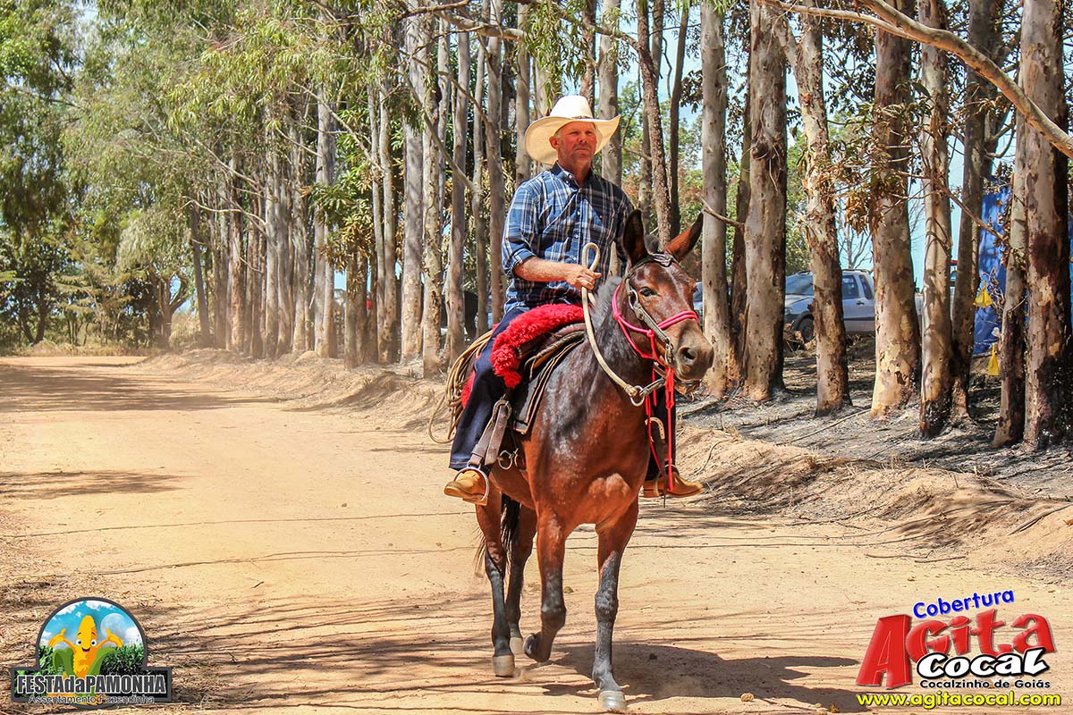 Festa da Pamonha (3 Dia)